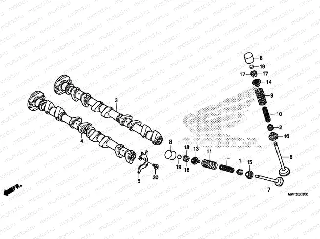 CAMSHAFT / VALVE