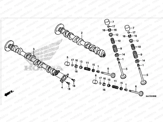 CAMSHAFT / VALVE