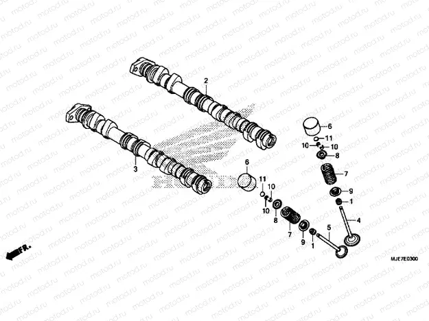 CAMSHAFT / VALVE