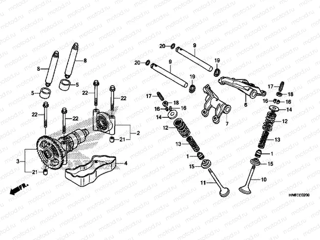 CAMSHAFT / VALVE