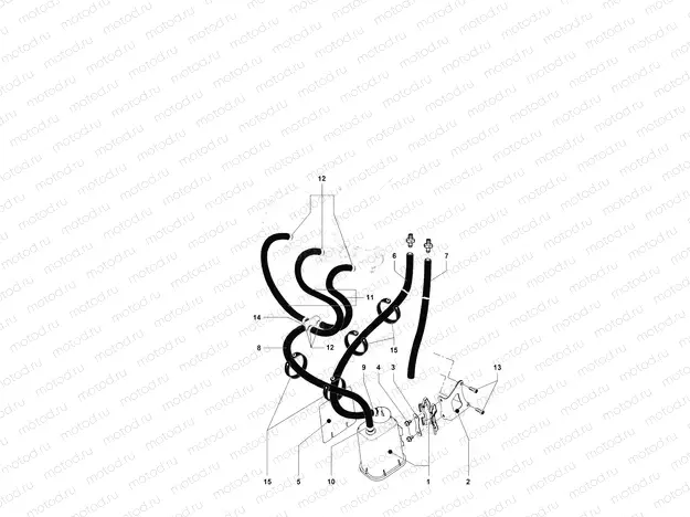 Carbon Canister Assembly
