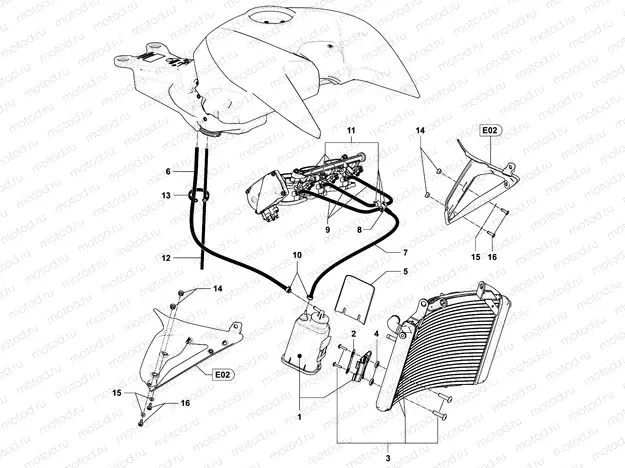 Carbon Canister Assembly