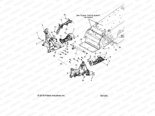 CHASSIS | CHASSIS, BULKHEAD ASM. - S20CBA6GSL (601243)