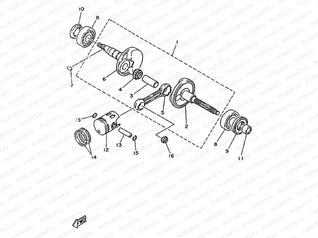 CIGUENAL & PISTON