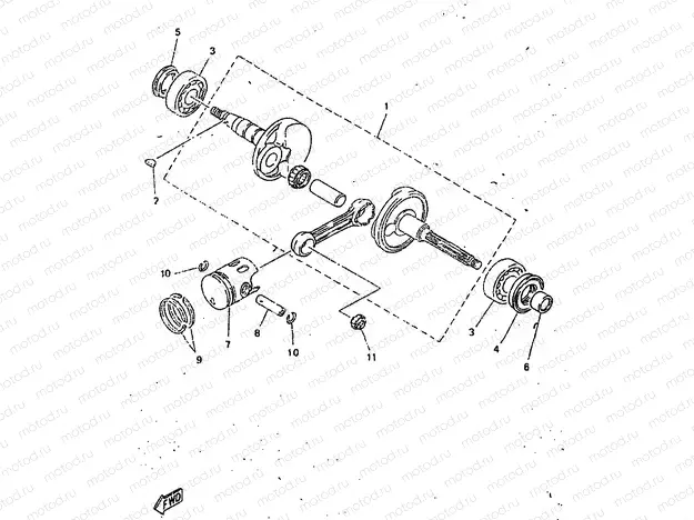 CIGUENAL & PISTON