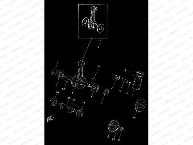 CIGUENAL & PISTON