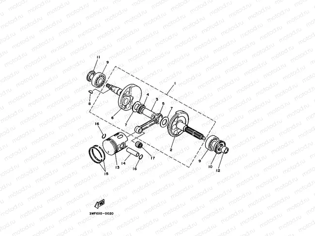 CIGUENAL & PISTON