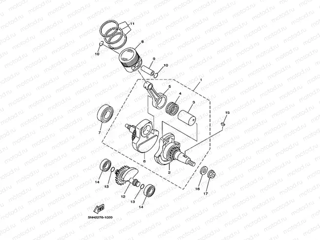 CIGUENAL & PISTON