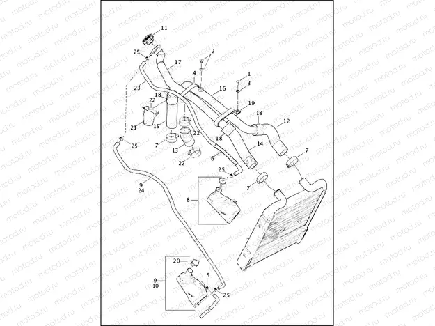 COOLANT HOSES / BOTTLE