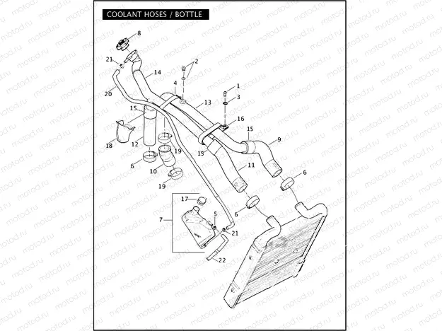 COOLANT HOSES / BOTTLE