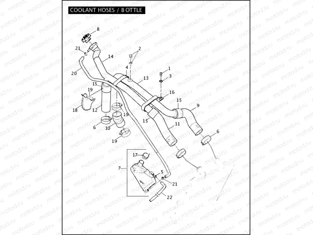 COOLANT HOSES / BOTTLE