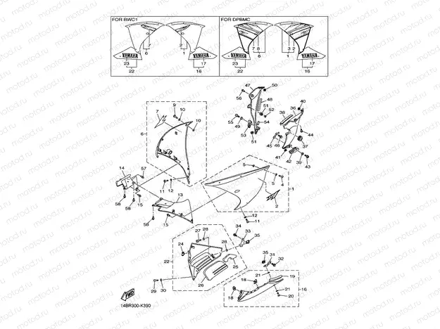 COWLING 2