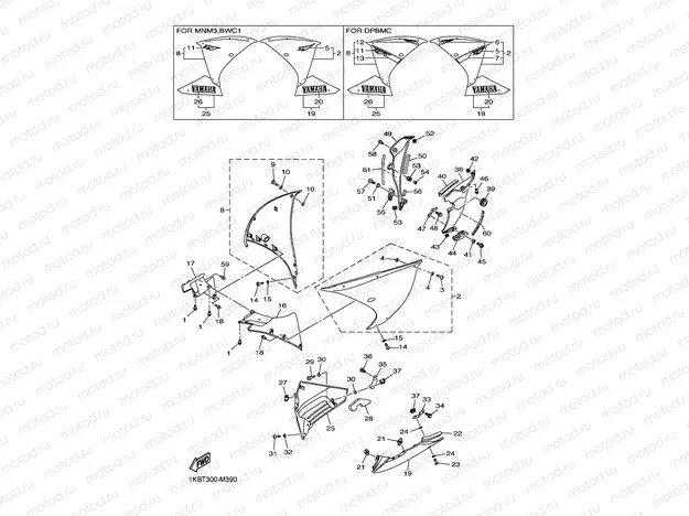 COWLING 2