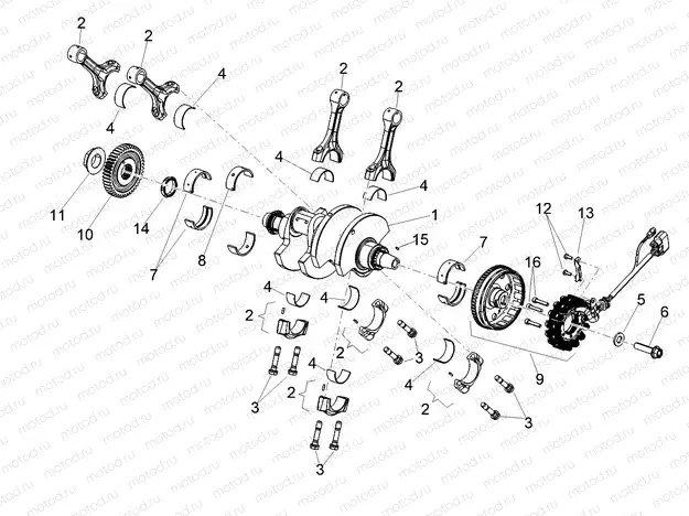 Cranckshaft