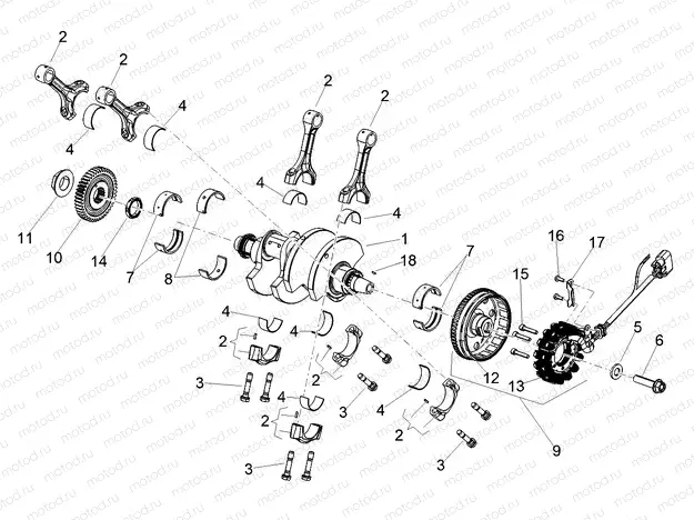 Cranckshaft