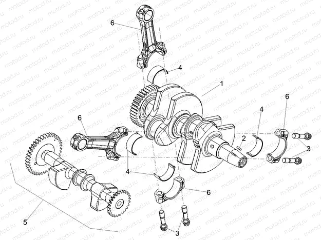 Cranckshaft