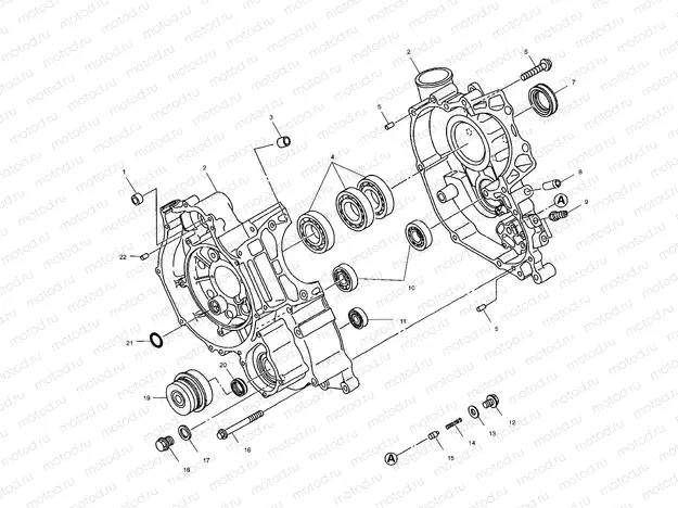 CRANKCASE - A01CD50AA (4964196419D009) | CRANKCASE - A01CD50AA (4964196419D009)