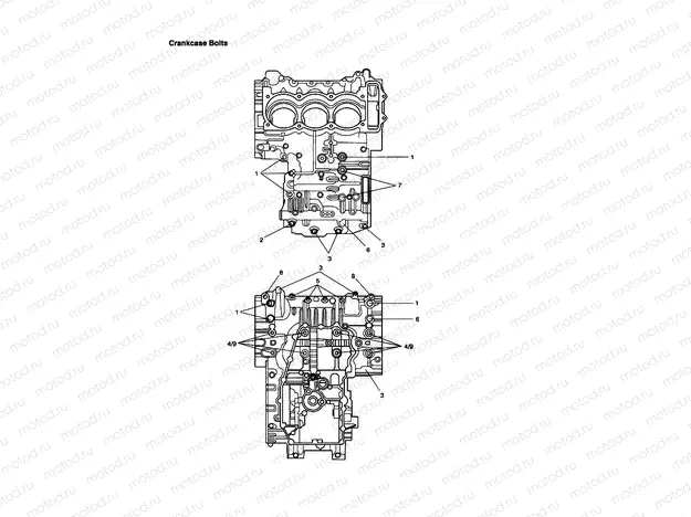 Crankcase Bolts