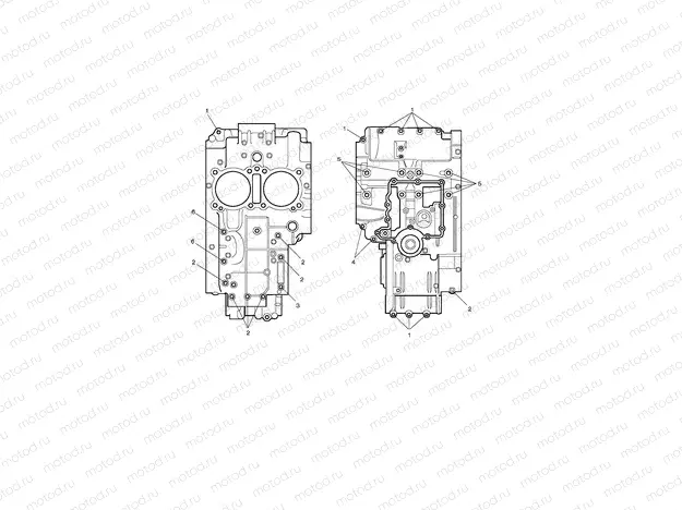Crankcase Bolts