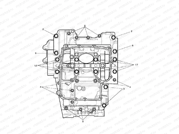 Crankcase Bolts