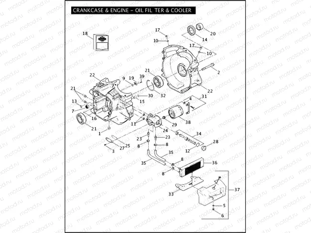 CRANKCASE & ENGINE - OIL FILTER & COOLER