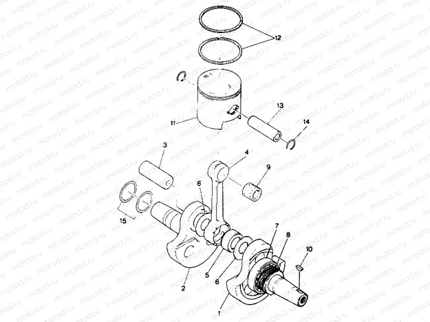 Crankshaft and Piston Assembly (49147514750039) | Crankshaft and Piston Assembly (49147514750039)