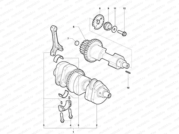 Crankshaft Assembly