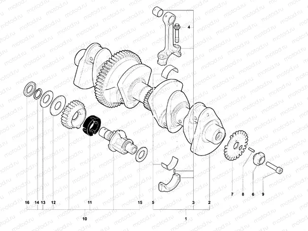 Crankshaft Assembly