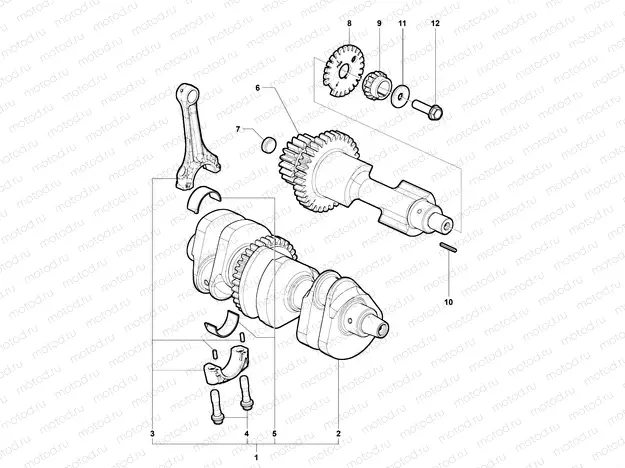 Crankshaft Assembly