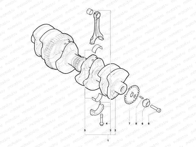 Crankshaft Assembly