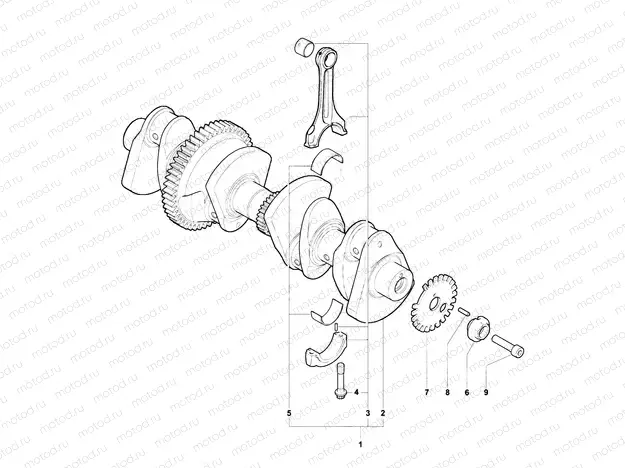 Crankshaft Assembly
