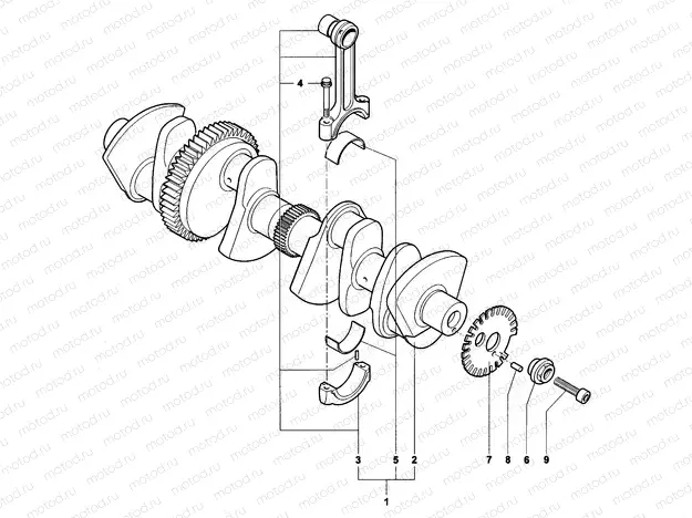 Crankshaft Assembly