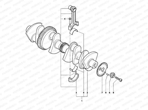 Crankshaft Assembly