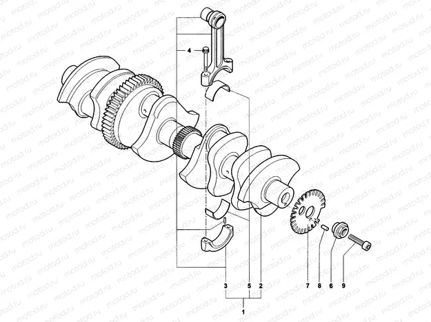 Crankshaft Assembly