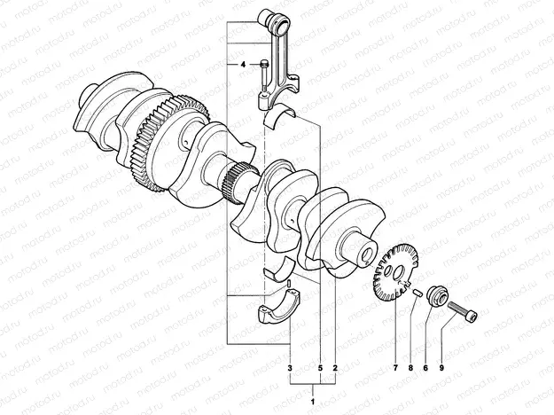 Crankshaft Assembly