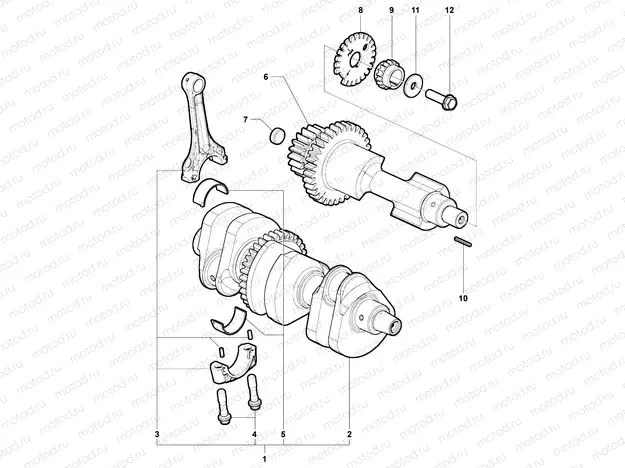 Crankshaft Assembly