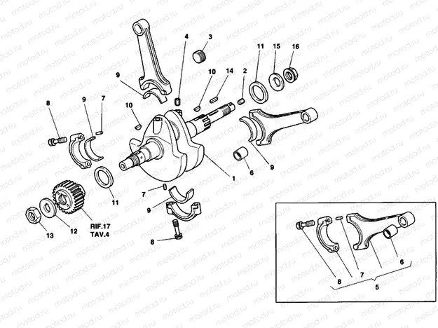 CRANKSHAFT » ENGINE CASE