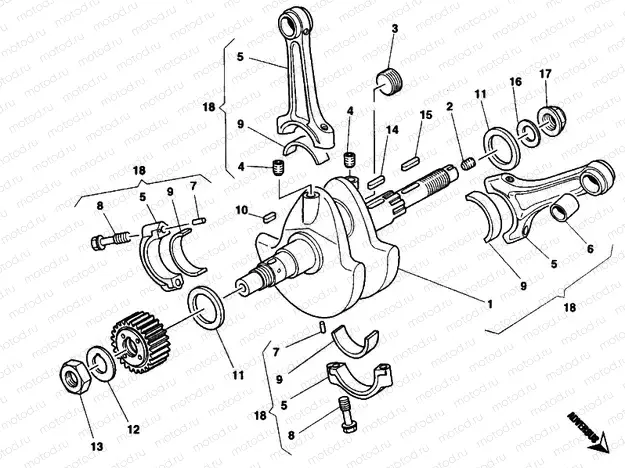 CRANKSHAFT » ENGINE CASE