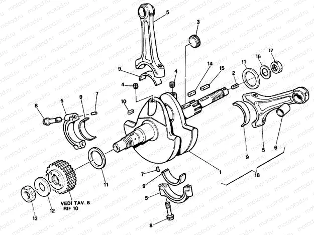 CRANKSHAFT MY91 » ENGINE CASE