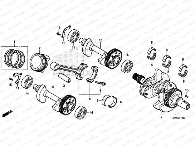 Crankshaft / PISTON