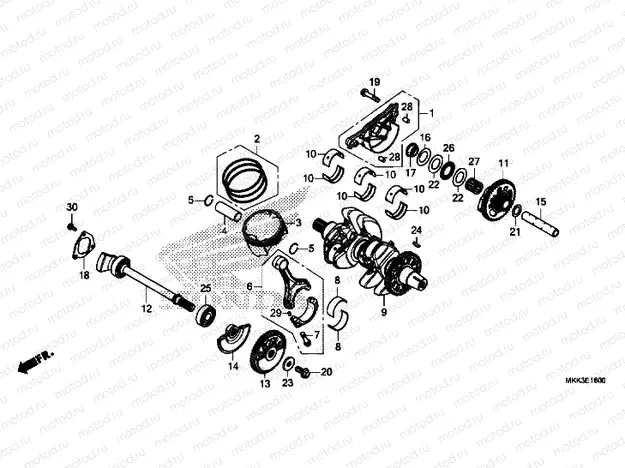 Crankshaft / PISTON