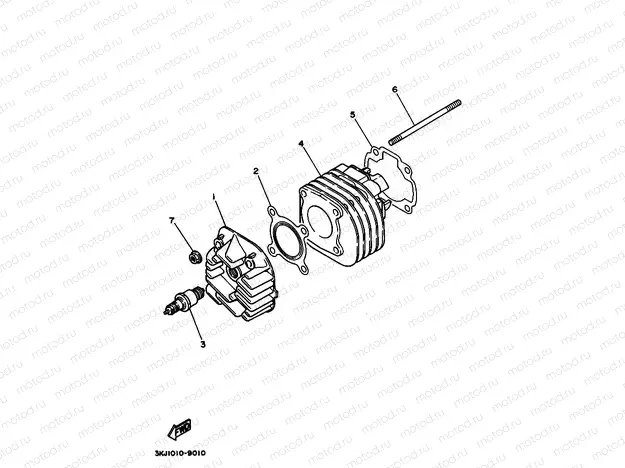 Cylinder head
