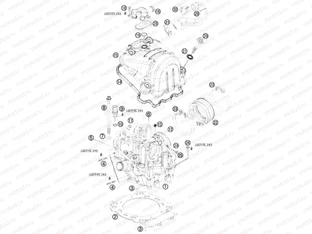 CYLINDER HEAD