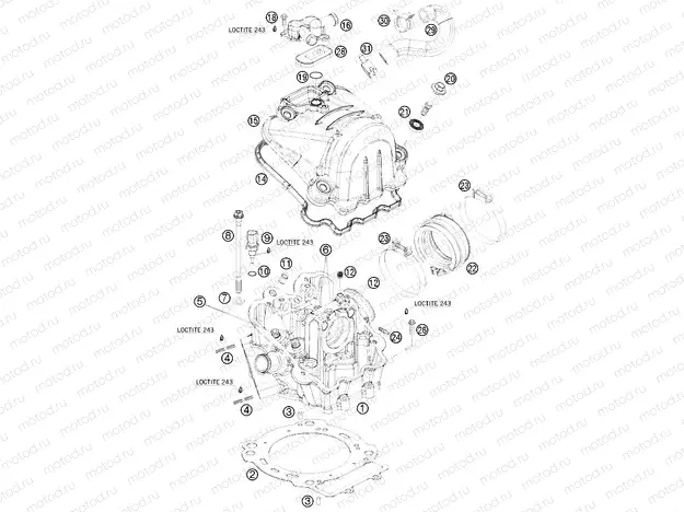 CYLINDER HEAD