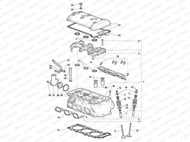 Cylinder Head Assembly