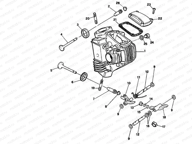CYLINDER HEAD » ENGINE CASE
