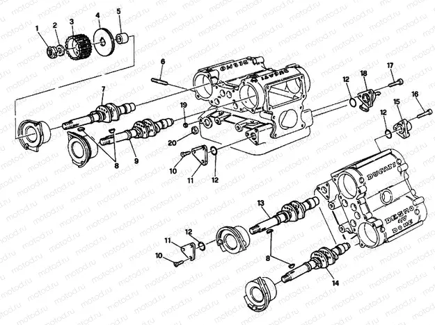 CYLINDER HEAD » ENGINE CASE
