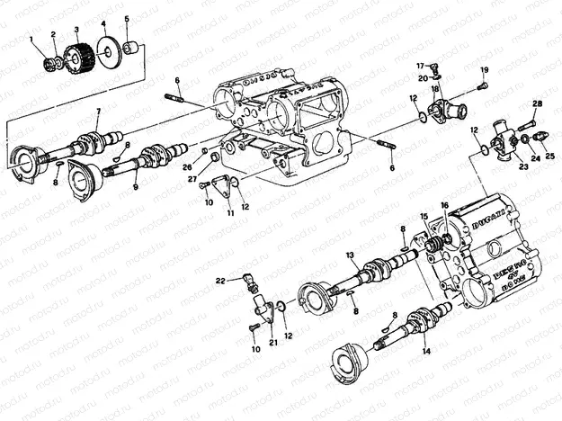 CYLINDER HEAD » ENGINE CASE