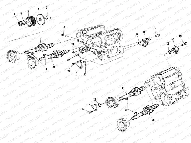 CYLINDER HEAD » ENGINE CASE