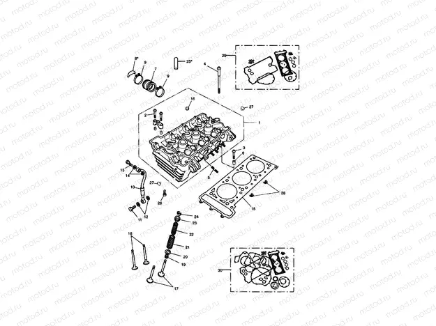 Cylinder Head & Valves